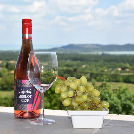 Kisleshegy Vendeghaz Вилла