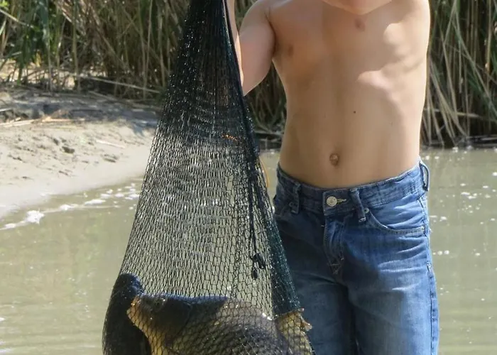 Вилла Kisleshegy Vendeghaz *