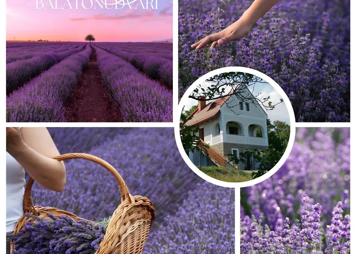 Вилла Kisleshegy Vendeghaz